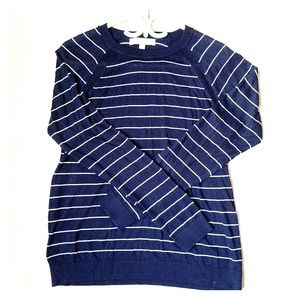 LOFT Navy stripe sweater